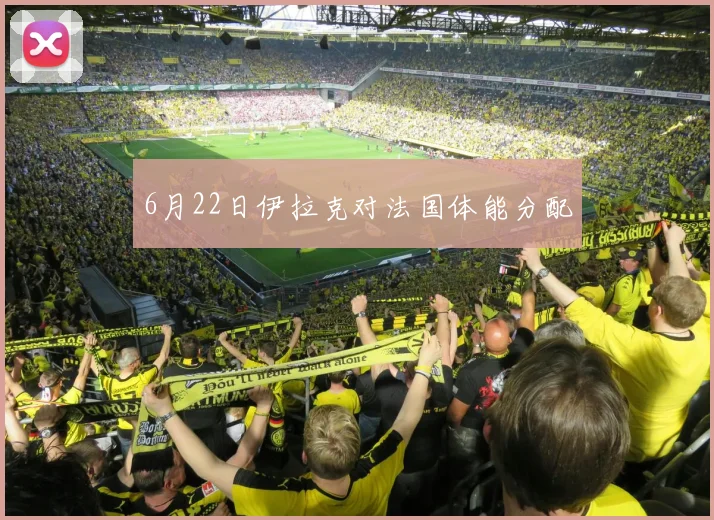 6月22日伊拉克对法国体能分配