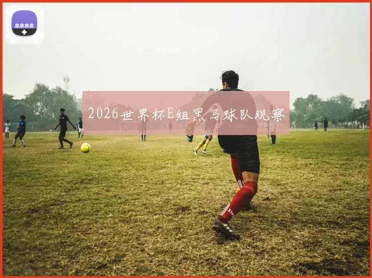 2026世界杯E组黑马球队观察